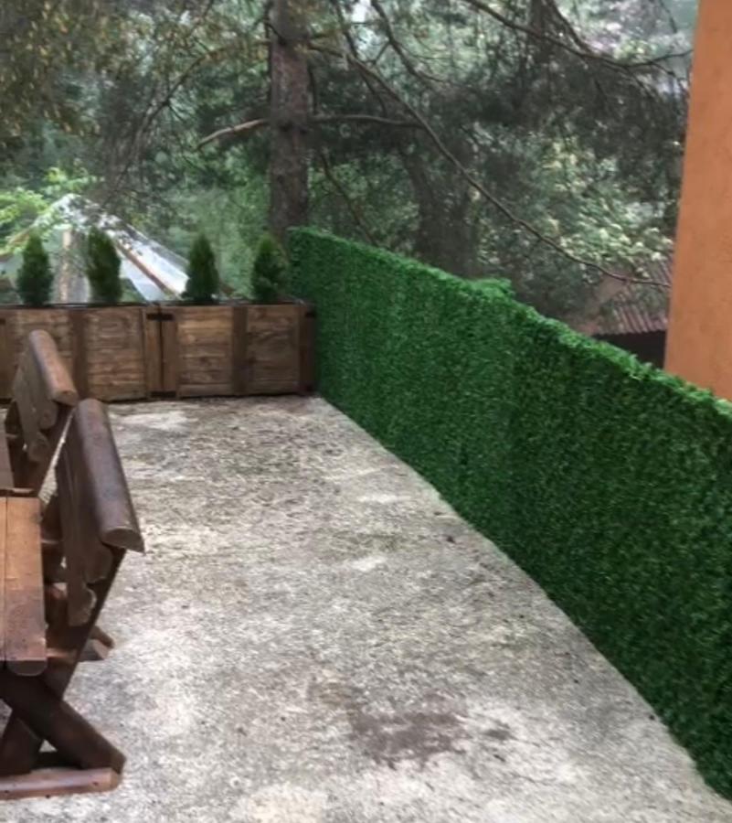 Veselica Βίλα Divčibare Εξωτερικό φωτογραφία